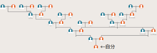 MY ROOTS 新潟のご先祖様を辿る (3)　～戸籍の情報整理～
