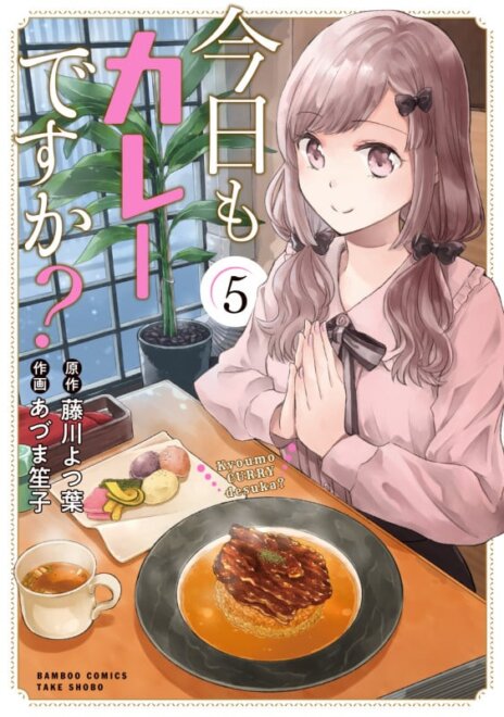 今日もカレーですか? (5) 感想